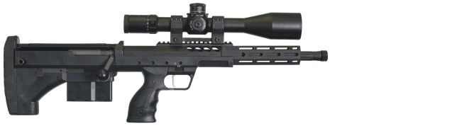 covert .300 winchester mag